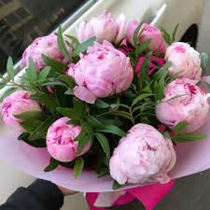 Пион древовидный в Сарканде