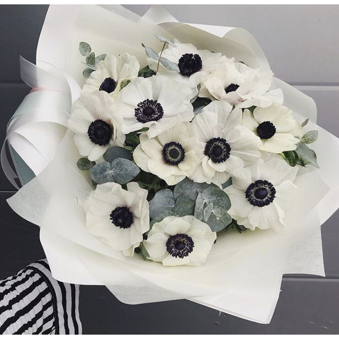 Анемоны в Сарканде