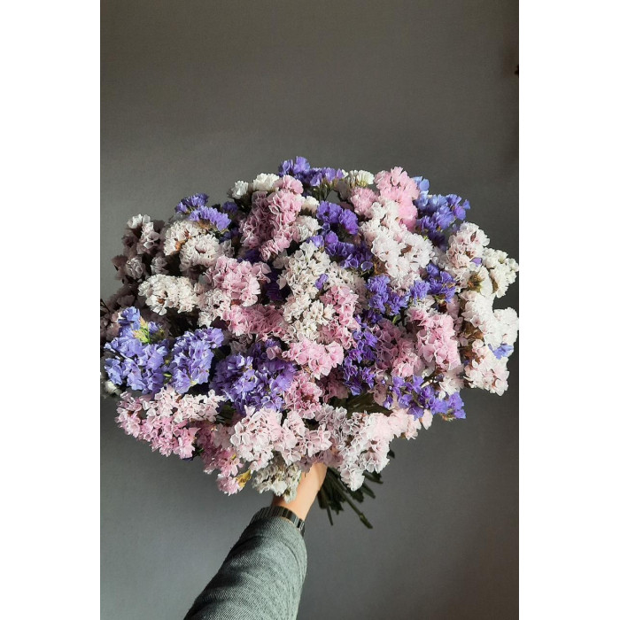 Статица (Лимониум) в Сарканде