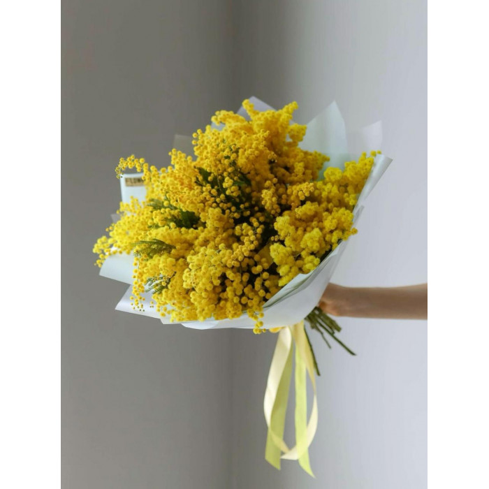 Мимоза в Сарканде