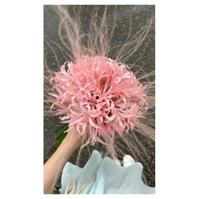 Нерине в Сарканде