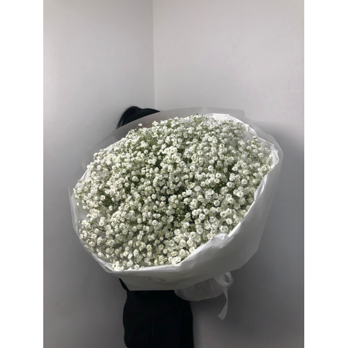 Гипсофила классическая в Сарканде