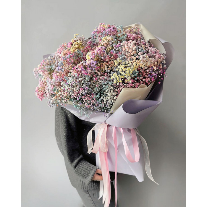 Гипсофила цветная в Сарканде