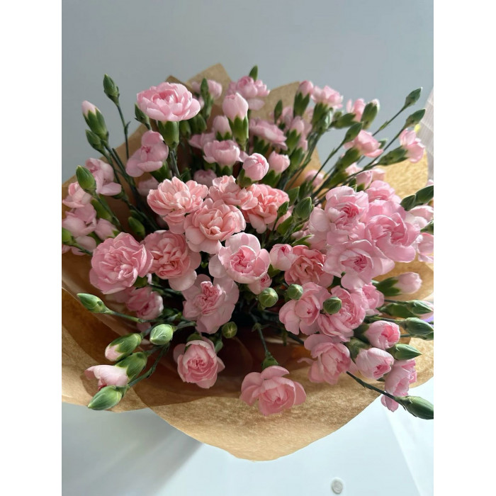 Кустовые гвоздики в Сарканде