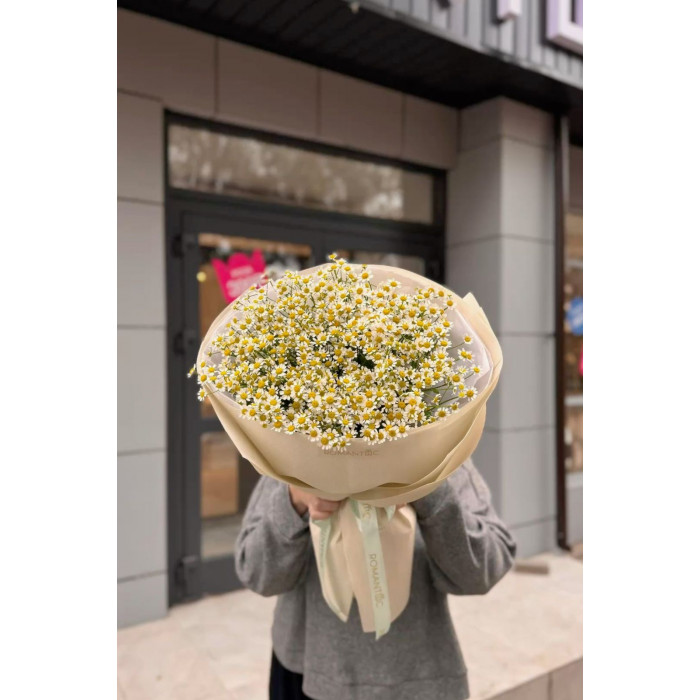 Танацетум в Сарканде